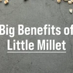 Why You Should Add Millet to Your Diet Today